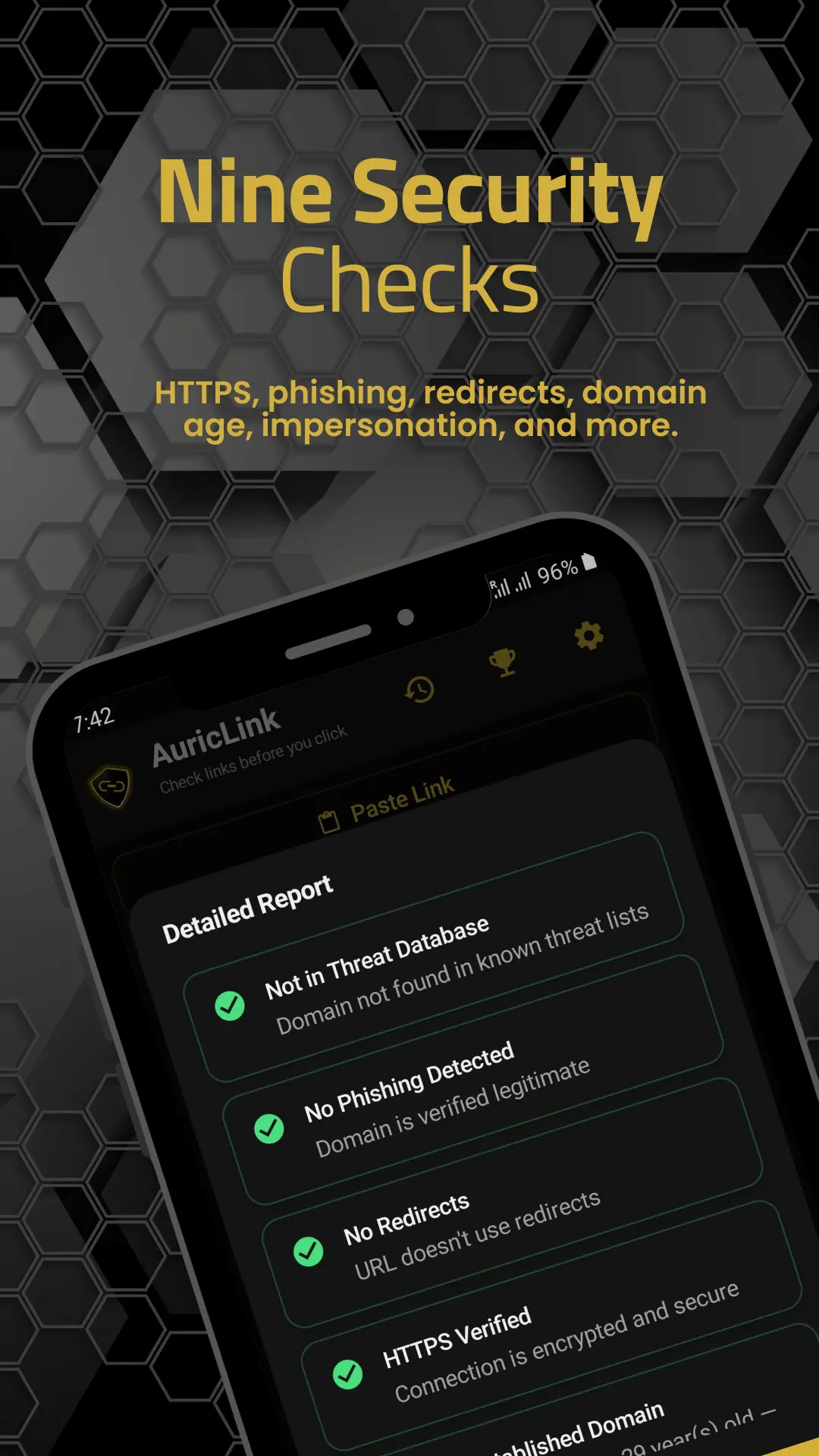 Auric Link screenshot 3